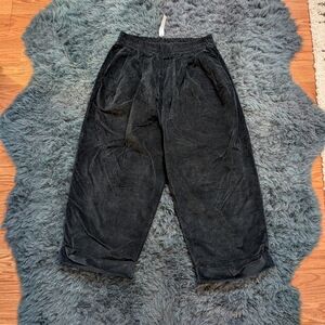 Album Di Famiglia velvet bragoni trousers in black, sz M